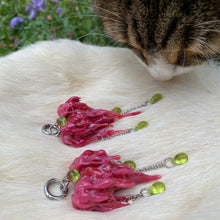 Load image into Gallery viewer, Poisoned Apple Heart Earrings