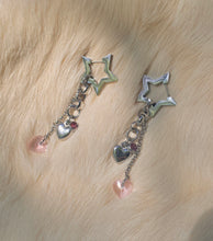 Load image into Gallery viewer, Metal-Lover Earrings